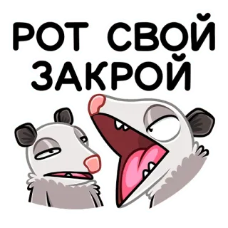 🙉 РОТ СВОЙ ЗАКРОЙ zarigüeya, animal, dibujos animados, cállate, ruso, grosero whatsapp sticker