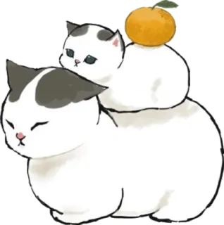 🍊 cat, kitten, orange, animal, cute telegram sticker
