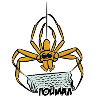 🙆‍♀️ ПОЙМАЛ aranha, teia, desenho animado, aracnídeo telegram sticker
