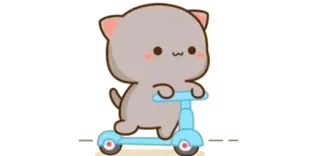 👑 cat, scooter, cute, kawaii, animal, cartoon telegram sticker