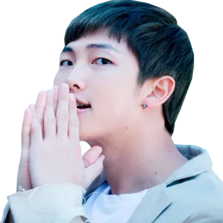 🙏 RM RM, Kim Namjoon, BTS, K-pop, cantante, musica telegram sticker