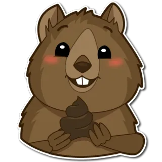💩 animal, quokka, cute, cartoon, happy, sticker telegram sticker