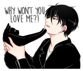 😤 WHY WON'T YOU LOVE ME?! Anime, Czarny kot, Mężczyzna, Miłość, Pytanie, Smutny, Romantyczny whatsapp sticker