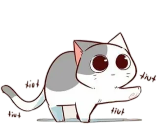 😸 tiut แมว, น่ารัก, สติกเกอร์, ภาพเคลื่อนไหว, แมวขาว, สัตว์ whatsapp sticker
