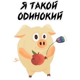😟 Я ТАКОЙ ОДИНОКИЙ 돼지, 외로운, 꽃, 동물, 귀여운, 슬픈 whatsapp sticker