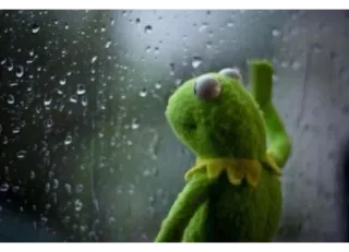 😪 Kermit triste, finestra, pioggia, kermit, muppet, rana telegram sticker