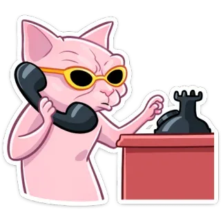 ☎️ cat, telephone, desk, glasses, cartoon, animal telegram sticker