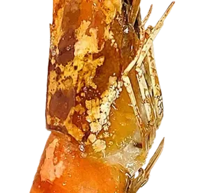 ⚪️ fruits de mer, crevettes, nourriture, fruits de mer, crustacé, cuit, crevette whatsapp sticker