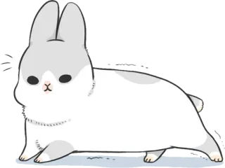 🐇 królik, słodki, zwierzę, kreskówka, zajączek telegram sticker