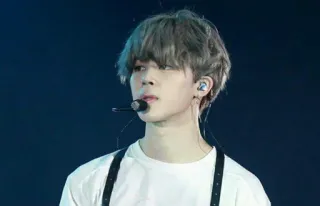 🏹 Jimin K-pop, Penyanyi Korea, Jimin, BTS, Idola, Musik whatsapp sticker