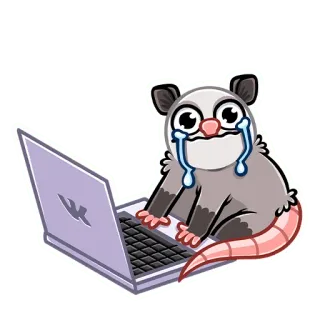 😢 zarigüeya, llorando, portátil, triste, dibujos animados, animal, lindo whatsapp sticker