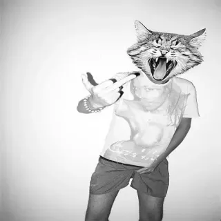 🤬 chat, doigt d'honneur, offensant, geste, animal, collage telegram sticker