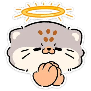 😼 cat, cute, halo, angel, praying, kawaii, animal, cartoon telegram sticker