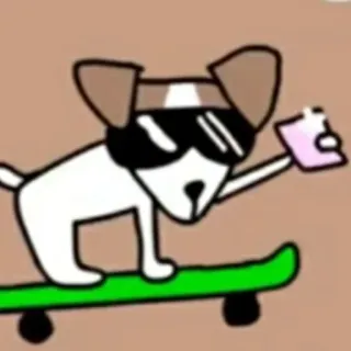✨ cachorro, skate, óculos de sol, animal whatsapp sticker