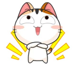 🌝 chat, joyeux, mignon, animal, autocollant whatsapp sticker