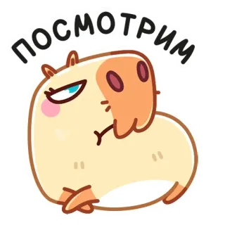 😒 Посмотрим капибара, милый, животное, стикер, мультик telegram sticker
