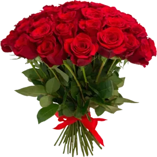 💐 กุหลาบ, ดอกไม้, ช่อดอกไม้, สีแดง, ของขวัญ, ความรัก, ความโรแมนติก whatsapp sticker