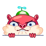 🐽 animal, hamster, dessin animé, mignon, en colère, expression, personnage telegram sticker
