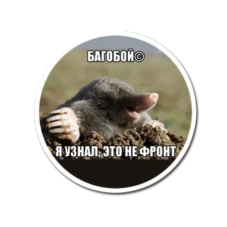 ennergiia_front whatsapp stickers