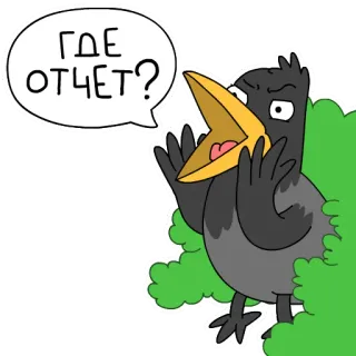 😡 ГДЕ ОТЧЕТ? crow, bird, russian, report, angry, boss whatsapp sticker