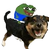 🐶