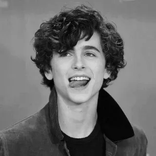 📎 Timothée Chalamet Schauspieler, Promi, Porträt, Mann, Locken telegram sticker