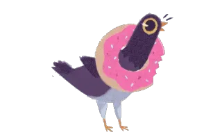 🍩 gołąb, pączek, ptak, słodki, jedzenie, śmieszne telegram sticker
