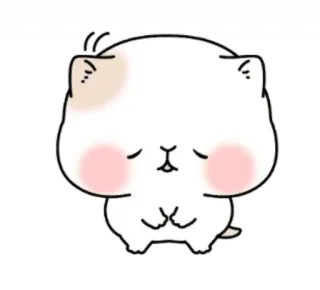 ☹️ chat, mignon, kawaii, animal, sticker whatsapp sticker