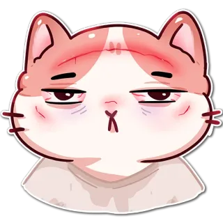 😐 mèo, buồn ngủ, mệt mỏi, động vật, hoạt hình whatsapp sticker