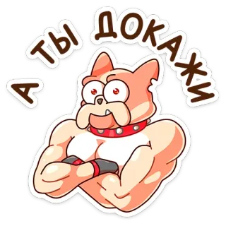 😠 А ты докажи chien, muscles, collier, drôle, dessin animé, défi telegram sticker