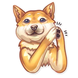 👏 cane, shiba inu, carino, animale, animale domestico, adesivo telegram sticker