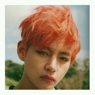 🧡 V kpop, idol, cantante, persona, ritratto, celebrità, musica telegram sticker