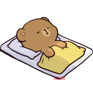 🥱 熊, 睡觉, 可爱, 卡通, 枕头, 床, 放松, 困 telegram sticker