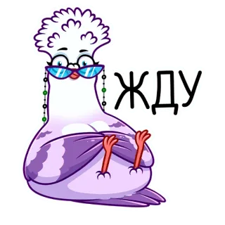 ⏳ ЖДУ голубь, птица, ожидание, русский, стикер, очки telegram sticker