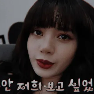 🎞 많 저희 보고 싶었 coreano, selfie, mulher, texto, expressão telegram sticker