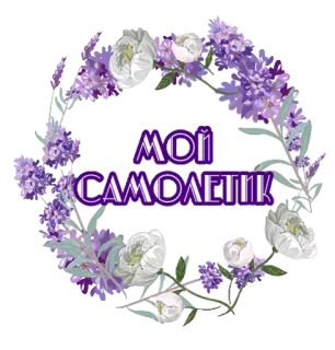 💜 МОЙ САМОЛЕТИК pesawat, bunga, karangan bunga, lavender, floral, ungu telegram sticker