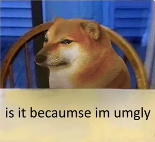😢 is it becaumse im umgly doge, mem, pies, śmieszne, brzydki telegram sticker