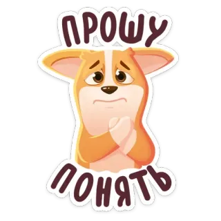 😒 ПРОШУ ПОНЯТЬ corgi, cachorro, implorando, fofo, triste, desculpa telegram sticker