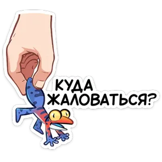 😵 КУДА ЖАЛОВАТЬСЯ? lizard, complaint, funny, cartoon, animal, humor, hand telegram sticker