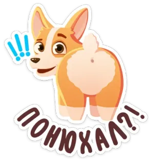 ⁉️ ПОНЮХАЛ?! cachorro, corgi, bumbum, adesivo, desenho animado, animal telegram sticker