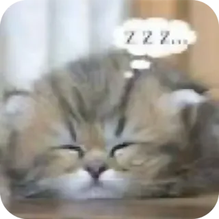 🐱 ZZZZ... Katze, schlafend, Schlaf, Tier, niedlich, träumen telegram sticker