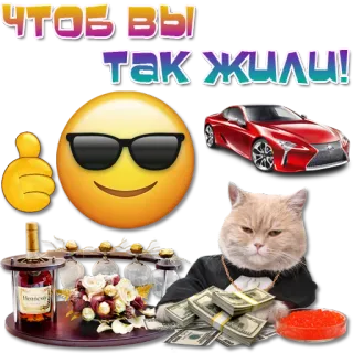 😀 чтоб вы так жили! soldi, auto, gatto, emoji, stile di vita, lusso telegram sticker