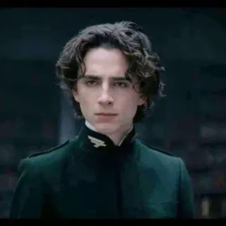 😐 Paul Atreides Dune Timothée Chalamet, Dune, Paul Atreides, movie, science fiction, character telegram sticker