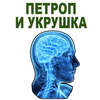 😊 ПЕТРОП И УКРУШКА brain, anatomy, human, head, russian, text, petrop, ukrushka telegram sticker