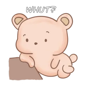 😗 WHUT? bear, cute, funny, question, confused telegram sticker