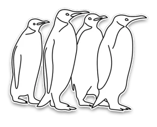 🐧 pingüinos, pájaros, animales, antártida, fauna, pingüinos emperador, grupo telegram sticker