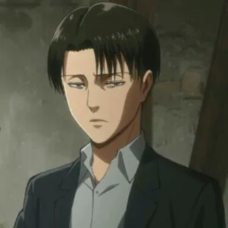 ⚔ Levi Ackerman Attack on Titan Anime, Sério, Capitão, AOT, Limpo whatsapp sticker