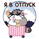 😎