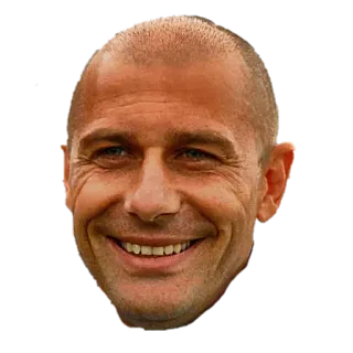 😑 homem, rosto, cabeça, retrato, careca, sorriso telegram sticker