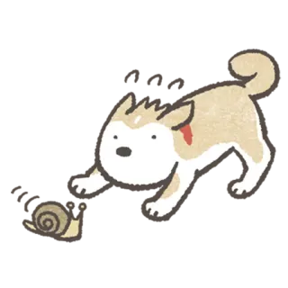 😨 개, 달팽이, 동물, 애완동물, 만화 telegram sticker